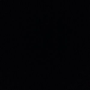 Meet your Posher, Maxwell